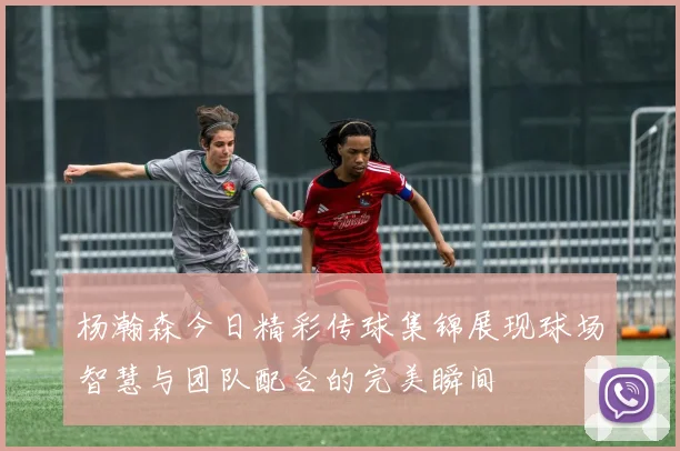 杨瀚森今日精彩传球集锦展现球场智慧与团队配合的完美瞬间