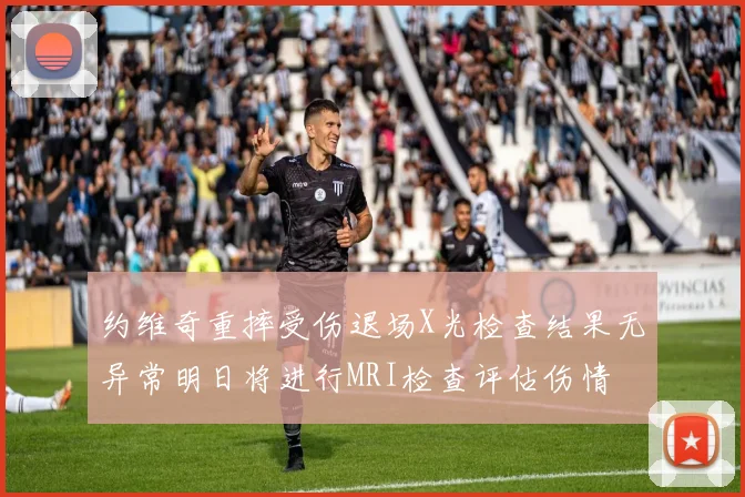 约维奇重摔受伤退场X光检查结果无异常明日将进行MRI检查评估伤情