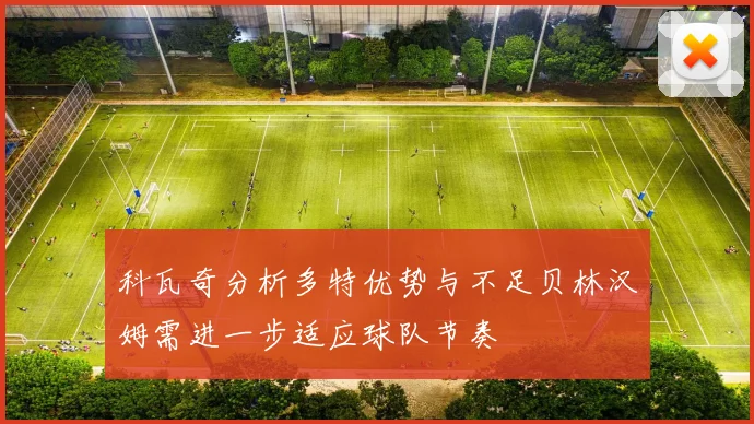 科瓦奇分析多特优势与不足贝林汉姆需进一步适应球队节奏
