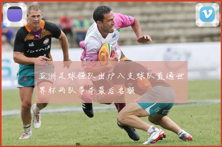 亚洲足球强队出炉八支球队直通世界杯两队争夺最后名额