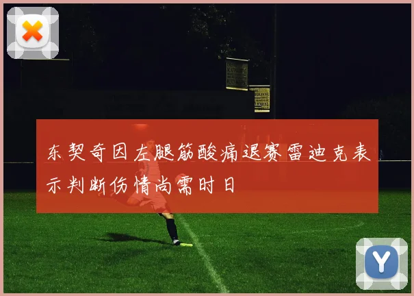 东契奇因左腿筋酸痛退赛雷迪克表示判断伤情尚需时日