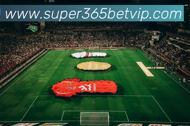 super体育平台生态图